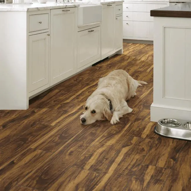 Dog resting on dark flooring | Off-Price Carpet Outlet