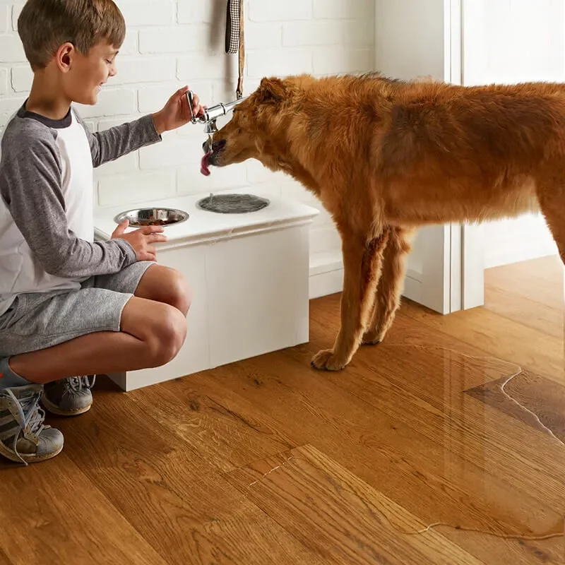 Kid with dog | Off-Price Carpet Outlet